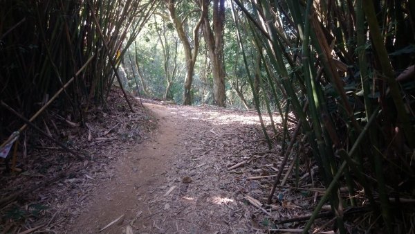 出關古道關刀山步道1584791