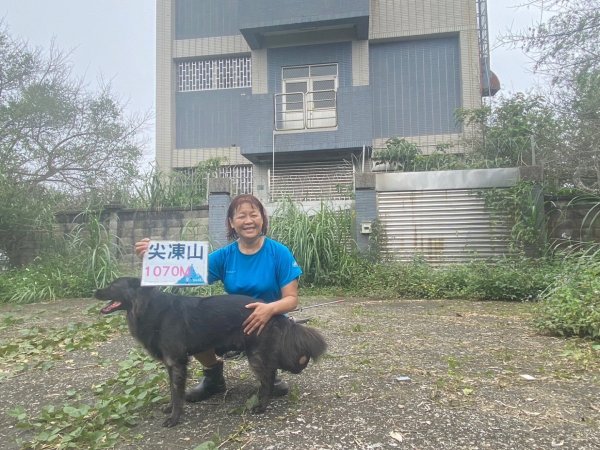 嘉義番路鄉三寶山步道2639312