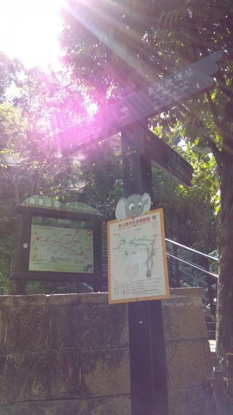 【臺北大縱走6】象山南港山縱走九五峰虎山942805