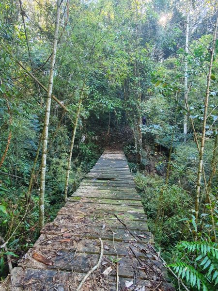 【日月潭四姐妹】(阿里眉山及沙巴蘭山)1248526