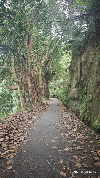 2025-1130 新店三(二)潭縱走2966926