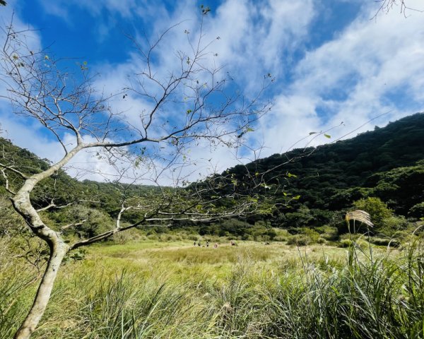 季節限定/尋找向天🦐-鵠沼枝額蟲-上面天山堆雪人2931418