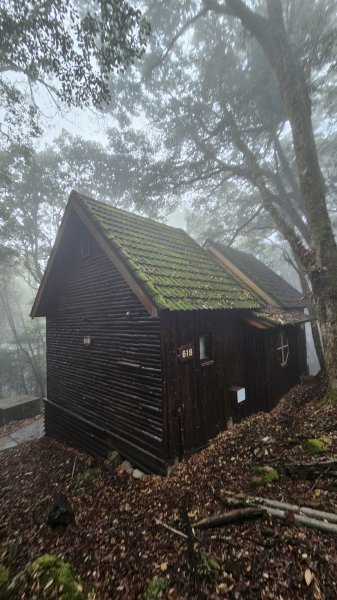 【這樣走波津加也行！】大雪山下波津加進谷關。3025900