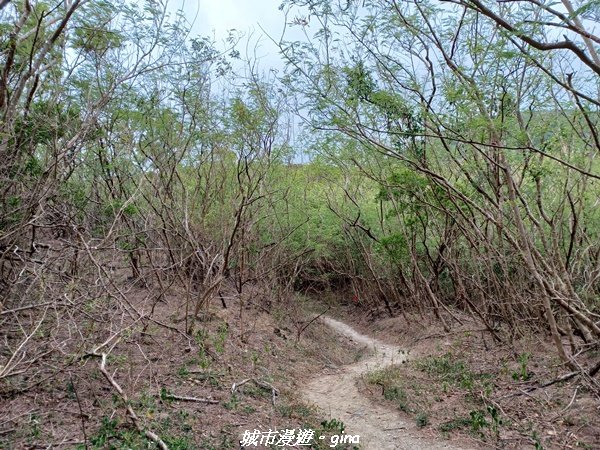 【屏東恆春】墾丁半島最高峰。 小百岳集起來。 編號81小百岳-大山母山步道1722622