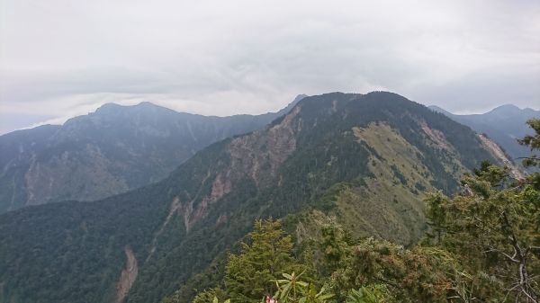 106.04.30 再訪玉山前峰121977