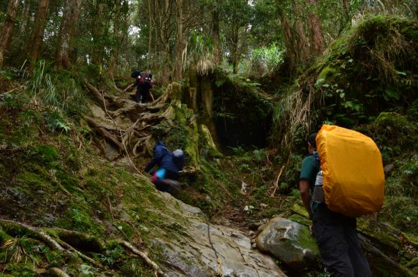 2018.01 水樣森林+鹿屈山+眠月神木269533