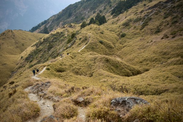 奇萊主北：奇萊北峰、月形池1322915