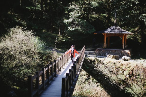 嘉義｜特富野古道1038057