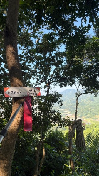 美濃雙溪樹木園（九芎林山2905633