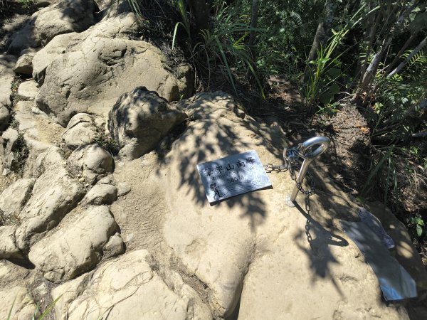 20251004微笑山線：【二格山系】筆架連峰段2904527