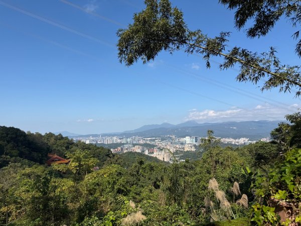 20260110 更寮古道(小百岳-土庫岳)2980771