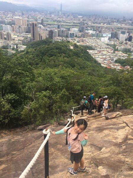 金面山394182