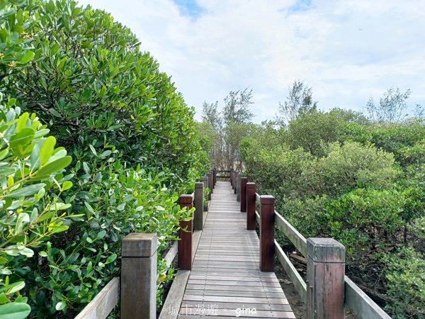 【新竹新豐】台灣唯一建有觀賞步道的生態保護區。 新豐紅樹林生態保護區2381807