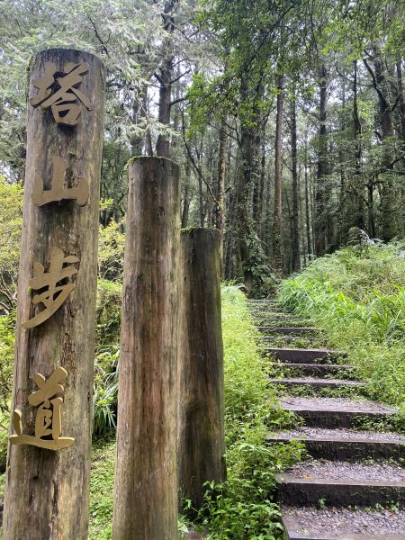 阿里山水山療癒步道3064219