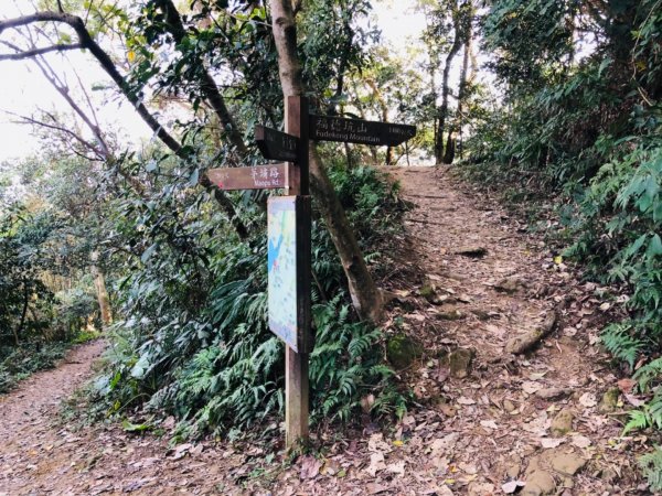 三峽福德坑山（鳶山彩壁）11001241246160