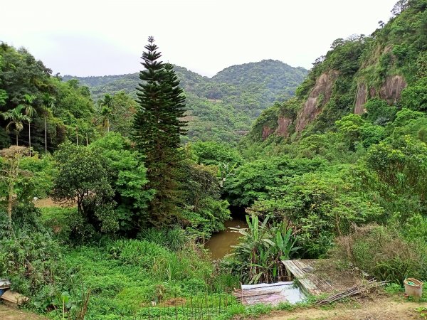 【臺北大縱走 6】石階綿延的南港山縱走親山步道1340856