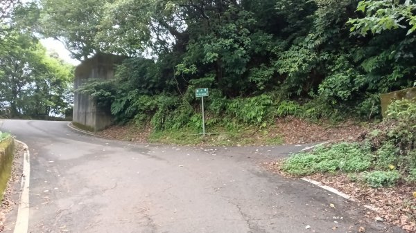 三芝區龜子山橋-三板橋-大屯溪古道(殘念)去回3090815