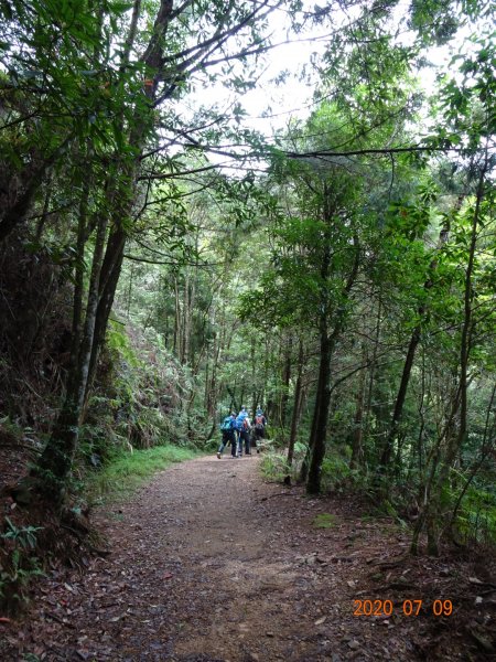 橫嶺山自然步道2020.07.091029051