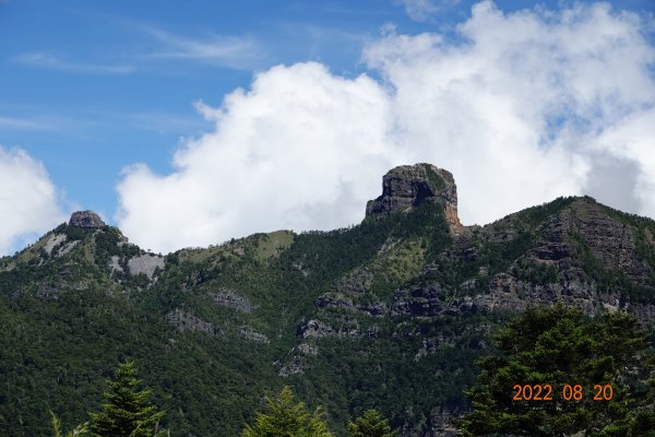 臺中 和平 品田山1816316