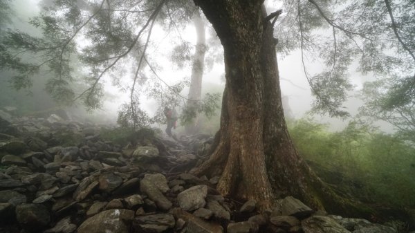 玉山前峰1079906