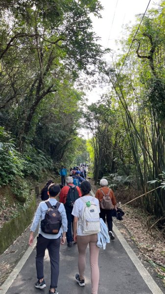 2025草嶺古道2970586