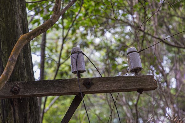 谷關七雄_波津加山2977606