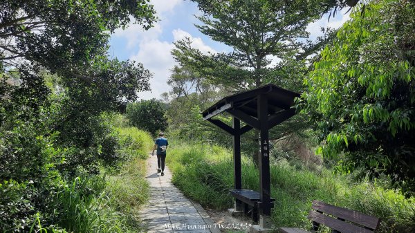 《台中》心靈雞湯｜大肚萬里長城登山步道O繞202507052827437