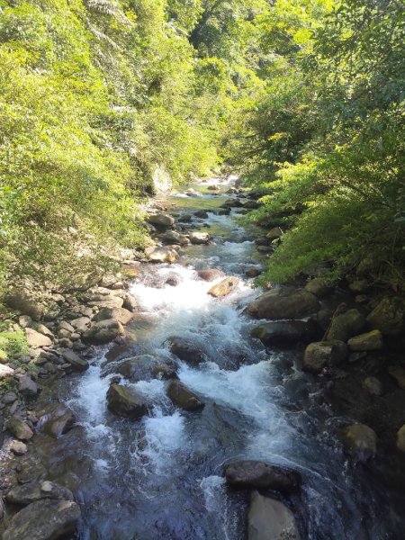 九寮溪自然步道2867195