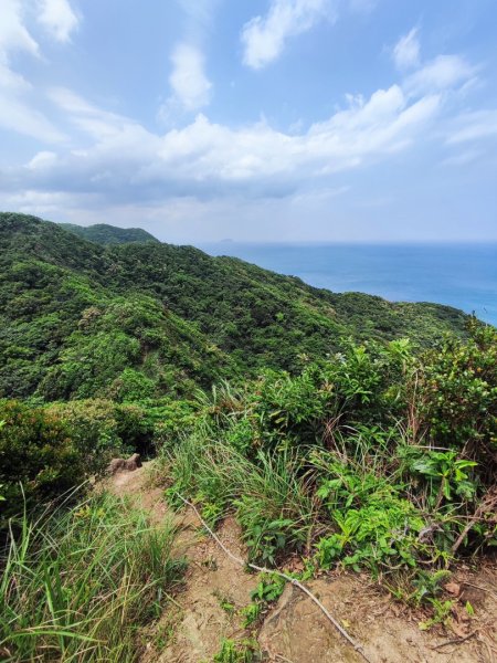 南雅山-門牙岩-鐵達尼岩-海園古道-鼻頭角3040495