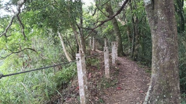 20251004 馬那邦山 - 珠湖 登山口2904854