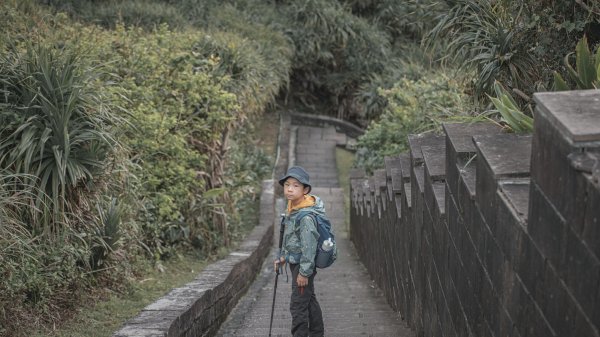 絕美的海岸地質教室｜鼻頭角步道3020682