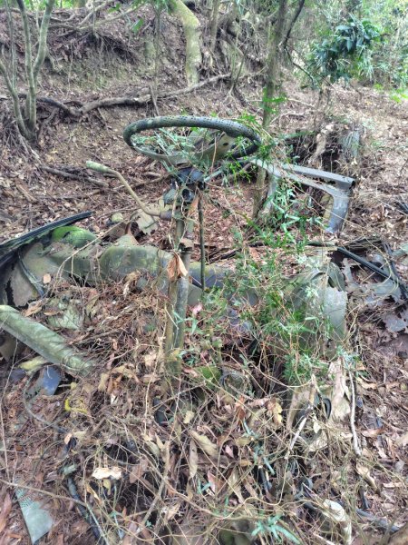 大棟山系南段 水利古道西口 上 竹高崙山 連走 鳥子嶺 坑仔內山 大崖山 下 龍目井農場2953157