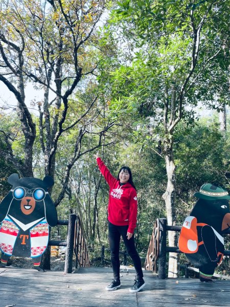 20241230 台中谷關捎來步道2739166