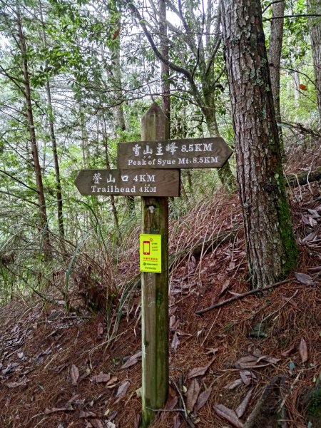 志佳陽大山登山步道2520076