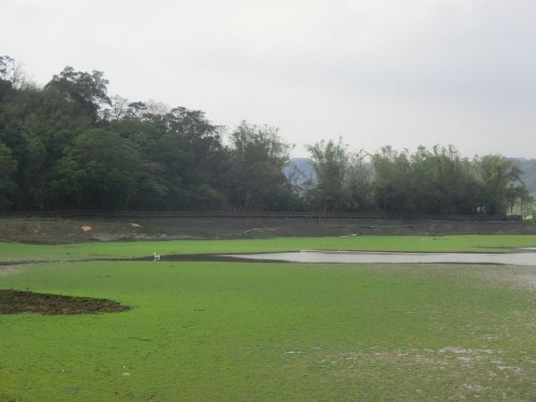 明德水庫湖濱步道229029