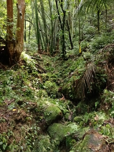 平溪區三功大厝+番子坑山+千階嶺步道O型2781132