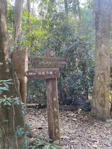 白毛山3059670