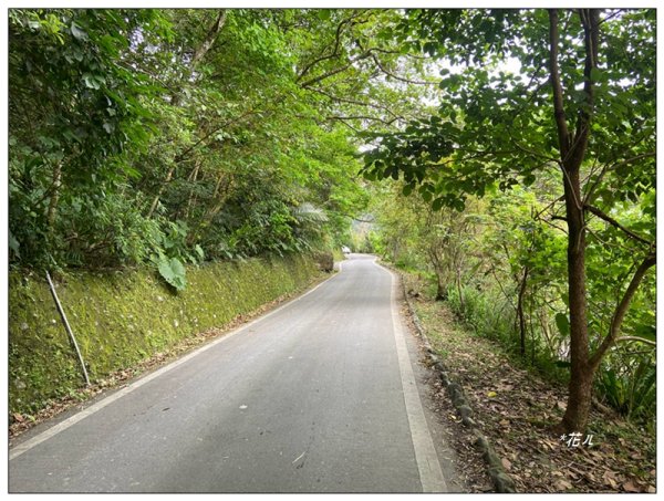 聖母峰、三角崙山 (抹茶山) 連走2802251