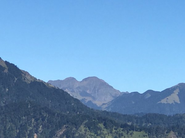 大雪山200林道北三錐山736908