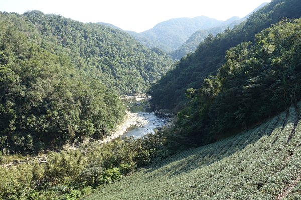 大舌湖步道 虎寮潭3086045