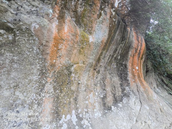 2026-03-21微笑山線：【鳶山山系】鳶山彩壁段