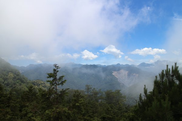 觀霧雲霧步道 20150619684886