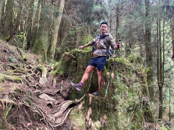 兒玉山.東水山.特富野古道【雨季來與不來的矛盾】2506110