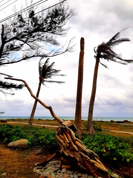 琅嶠卑南古道2700466