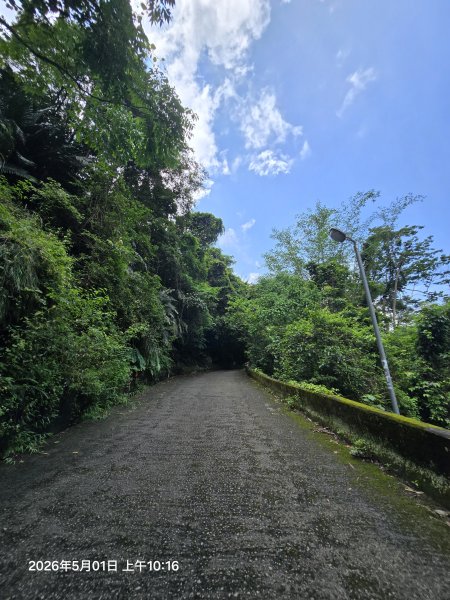 2026-05-01鳥嘴山(上島山)步道3046805