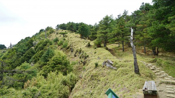 20180420鹿林山 麟趾山1495687