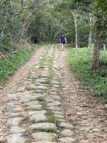 20250706-EP.07石光古道-2025森遊竹縣皮皮獅探險隊2851799