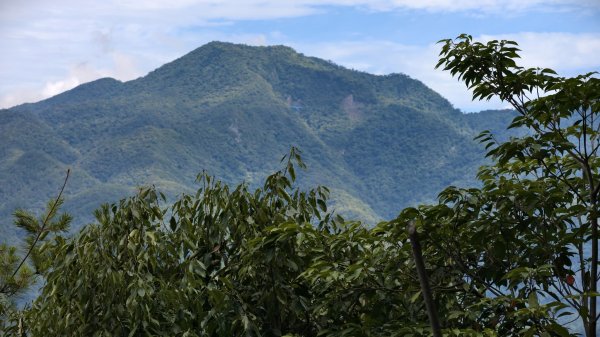 【谷關七雄】新山馬崙 - 松香裡的時光迴廊：聽山林講述歲月的故事3094009
