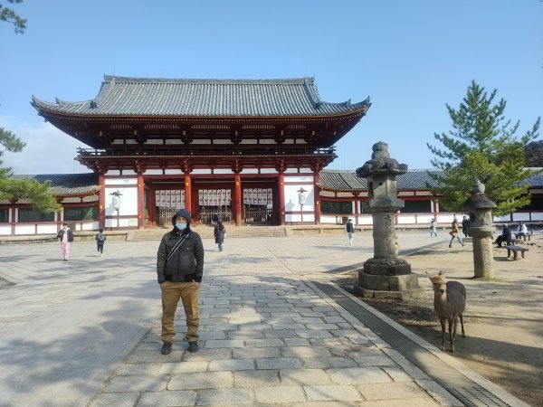 奈良公園&春日大社&東大寺2454222