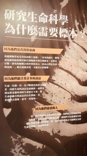 雨天備案💙 台灣博物館的古生代館-台大動植物館免費參觀-北投♨️季2807510